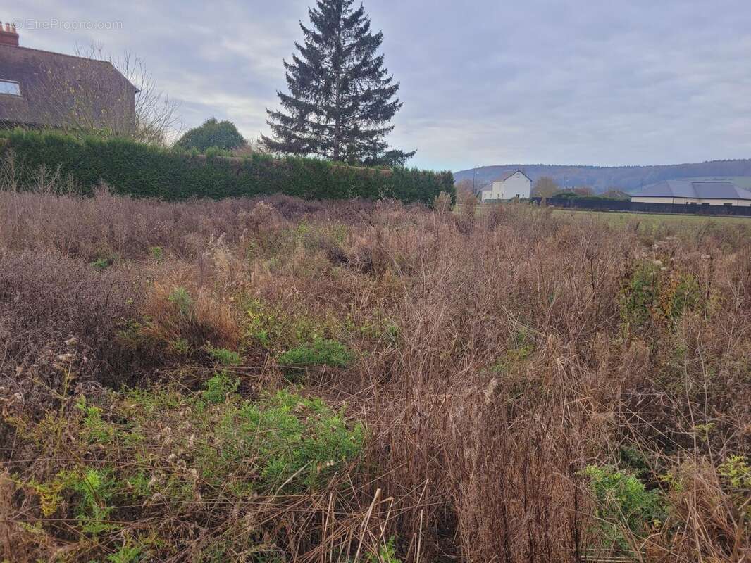 Terrain à HONDOUVILLE