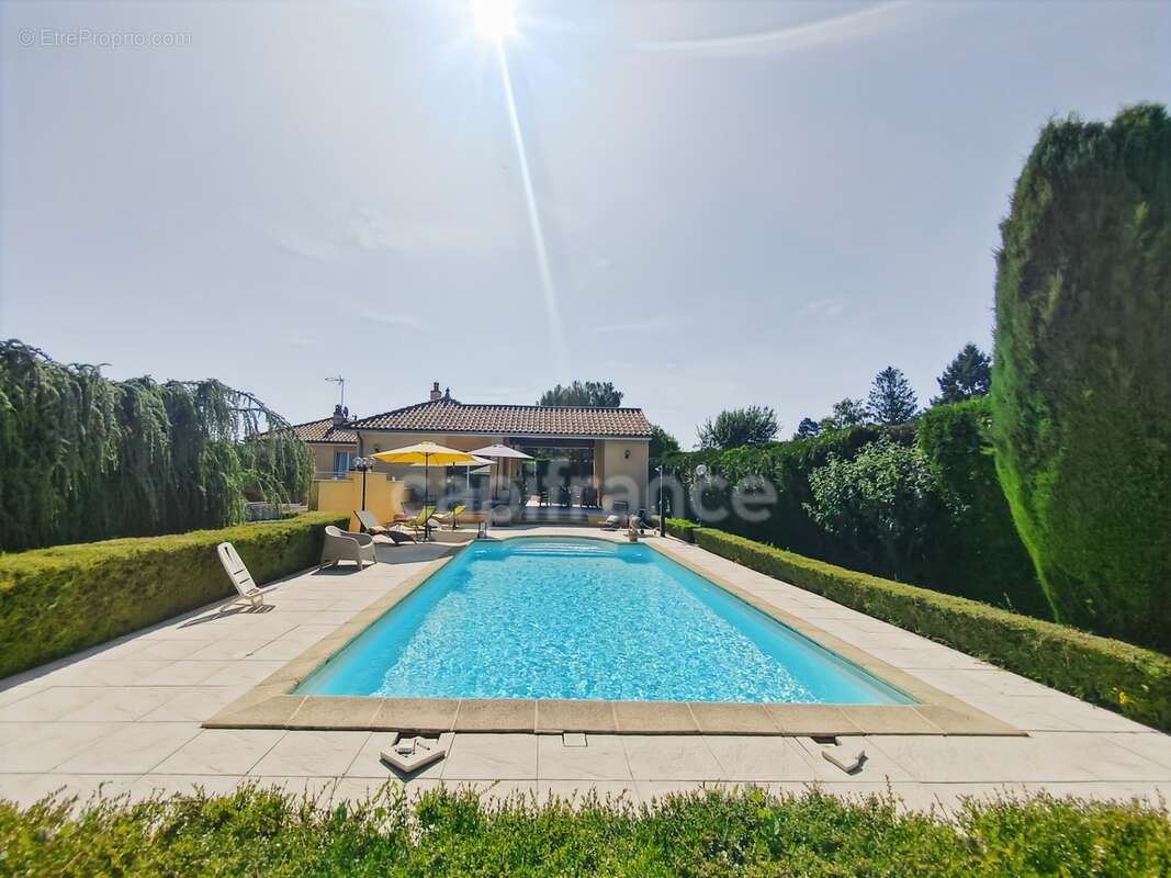 Secteur Bourgogne du Sud 2 km entrée/sortie autoroute A6 Maison à vendre de 180 m² - 6 pièces - terrain de 2 481 m² piscine ! - photo 3