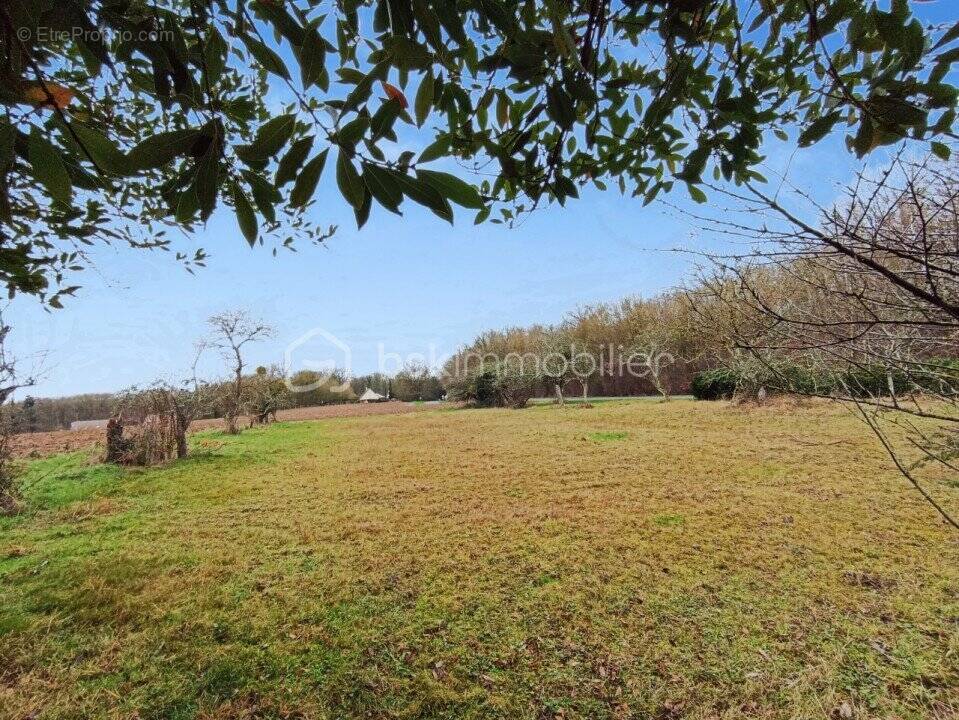 Maison à AUVILLIERS-EN-GATINAIS