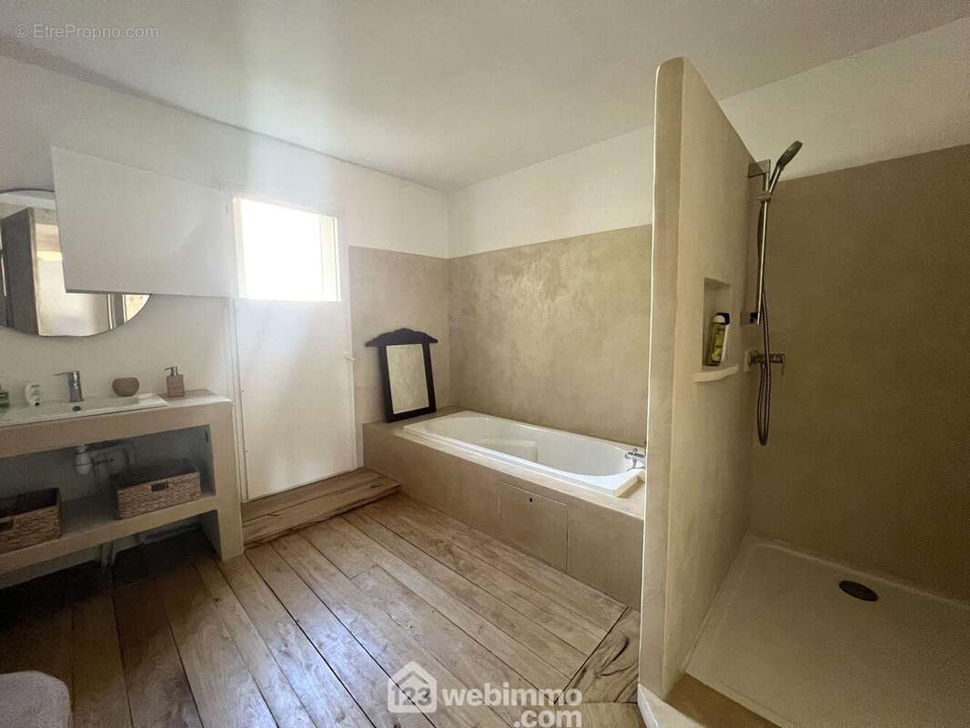 La grande salle de bain avec douche et salle de bain - Appartement à SAN-MARTINO-DI-LOTA