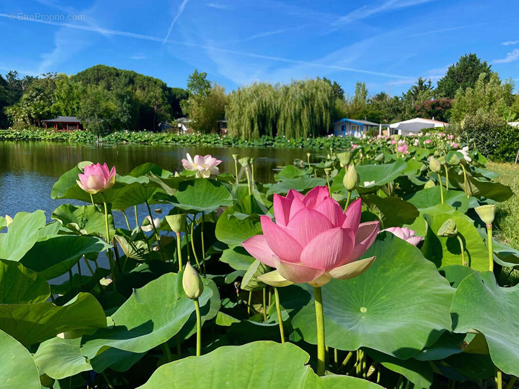 Maison à SAINT-CYR-EN-TALMONDAIS