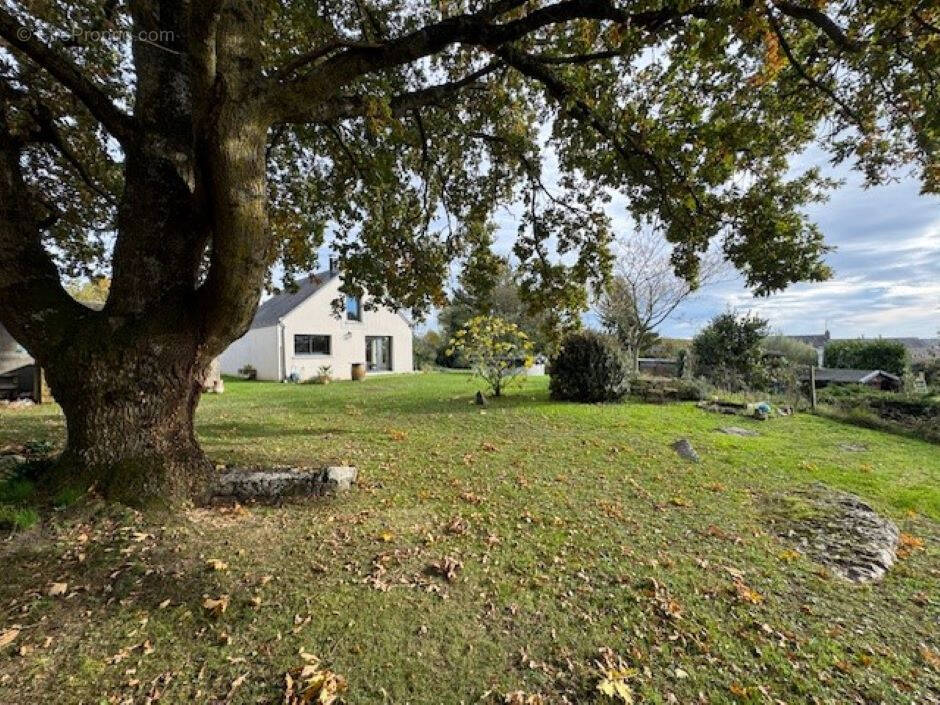 Maison à BRISSAC-QUINCE