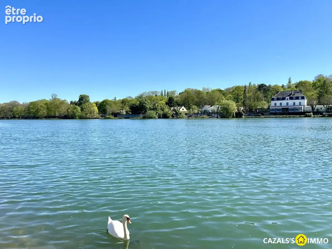 Maison 16 pièces 420 m² à vendre à Morsang-Sur-Seine (91250) - photo 9