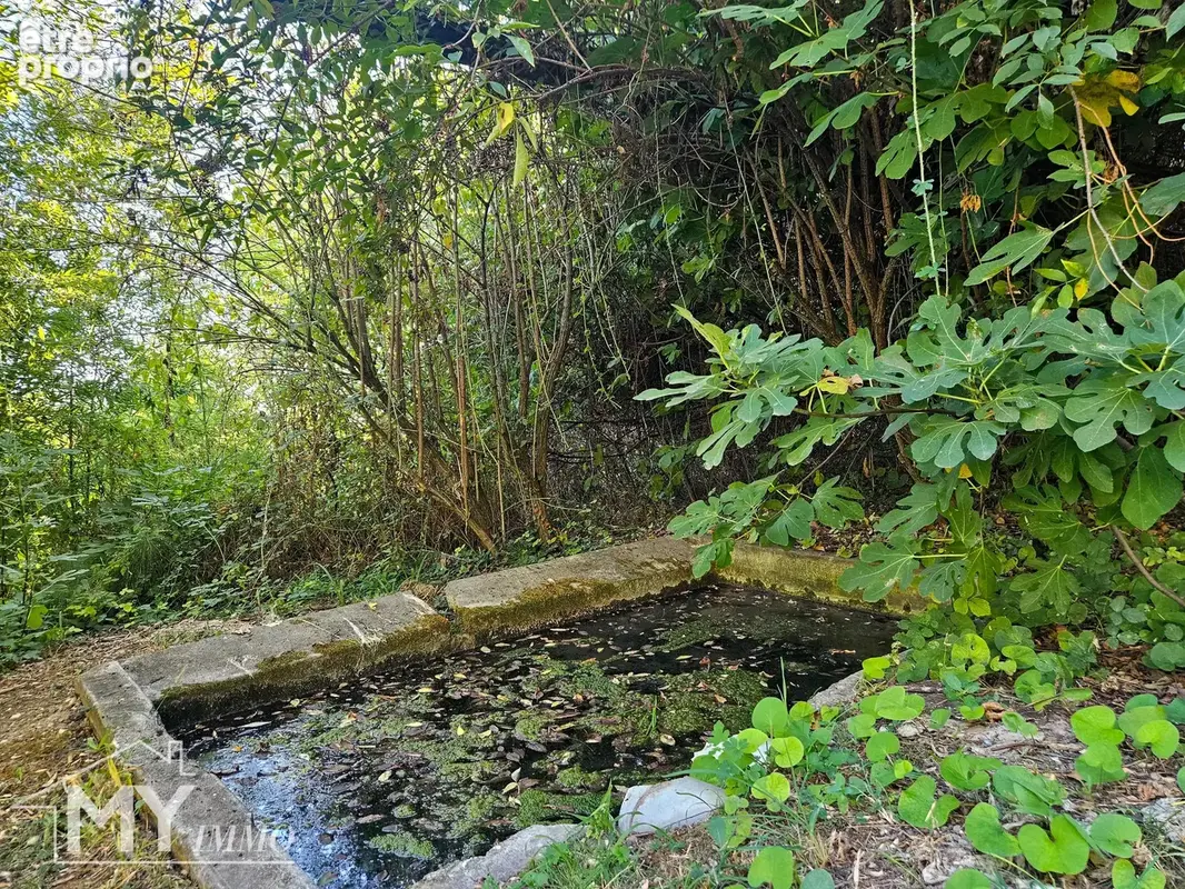 Vélines : Maison d’architecte de 218 m² avec piscine sur près de 2,8 hectares - photo 33