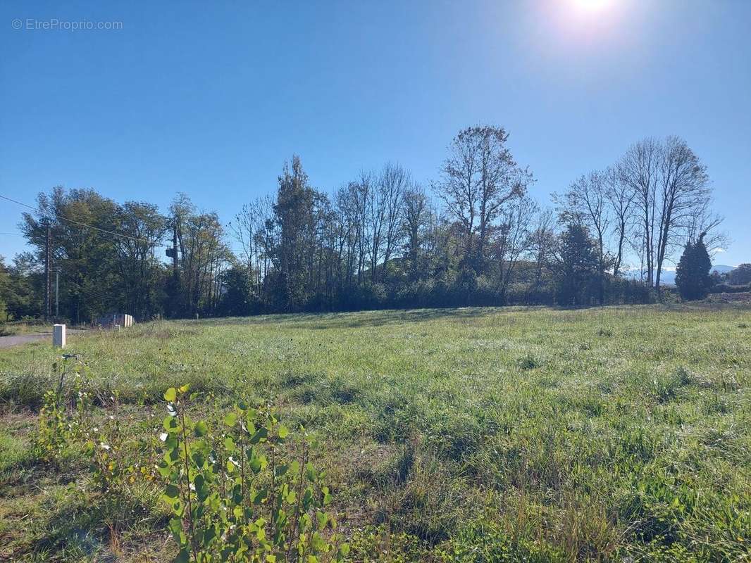 20241024114114 - Terrain à SALIES-DU-SALAT