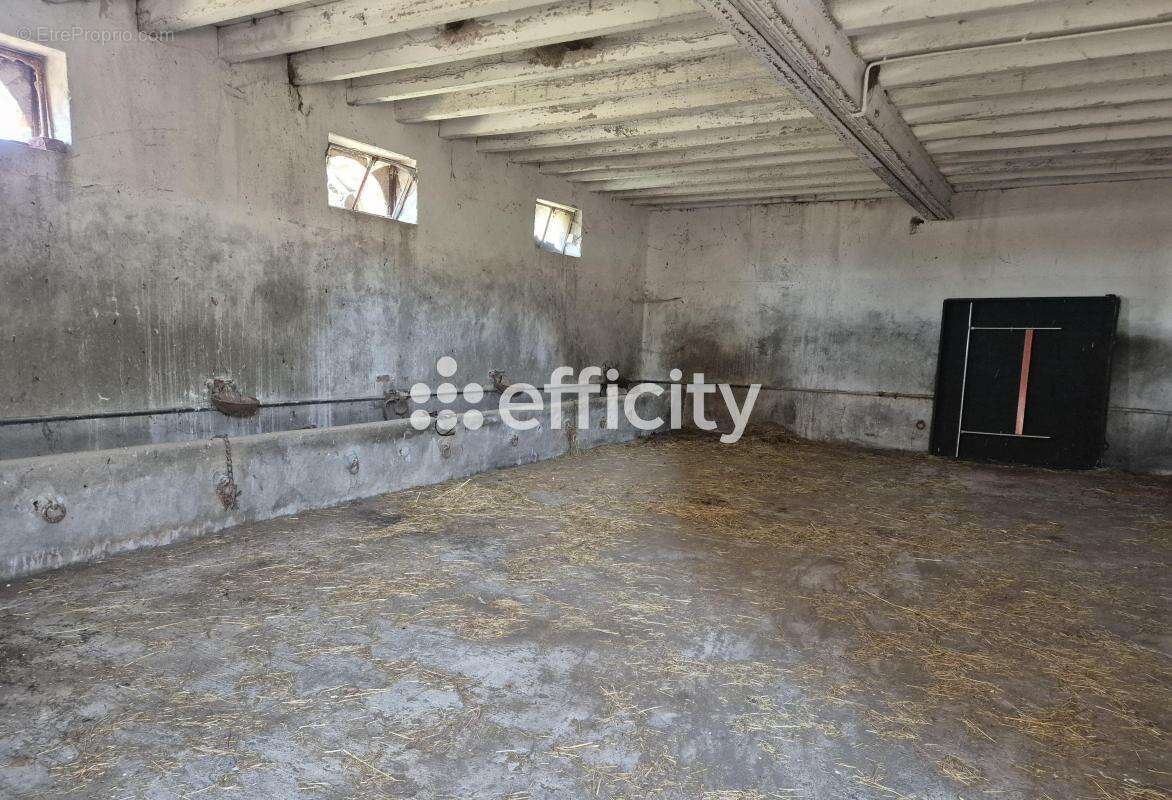 Maison à CHOUZY-SUR-CISSE