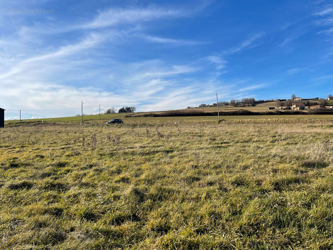 Terrain à LA MOTTE-DE-GALAURE