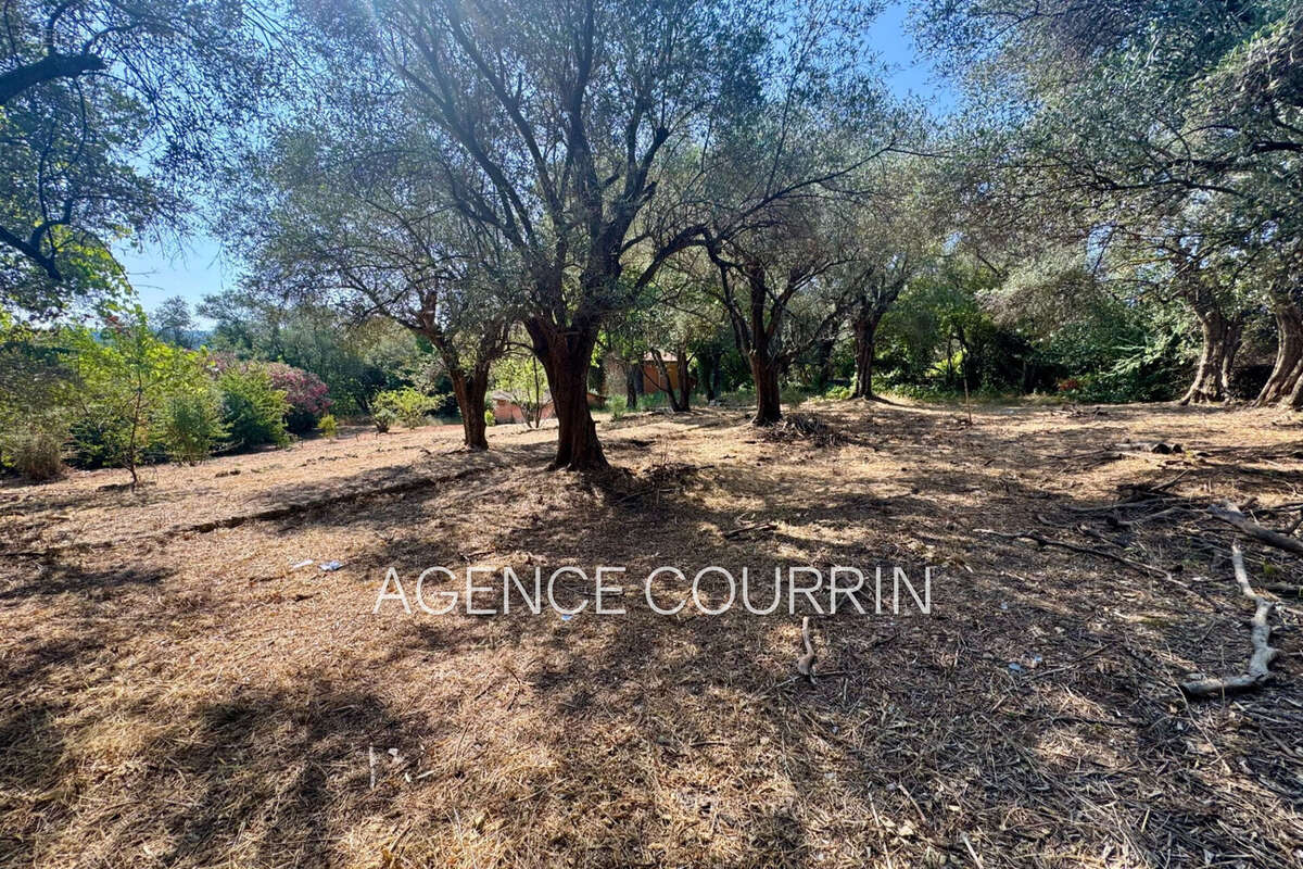 Terrain 846 m² à Grasse  - photo 4