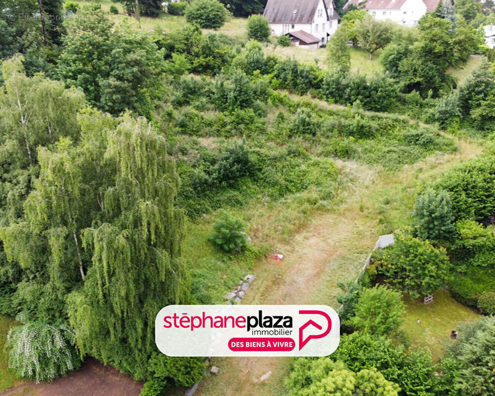 Terrain Saint Avold 3801 m2 - photo 15