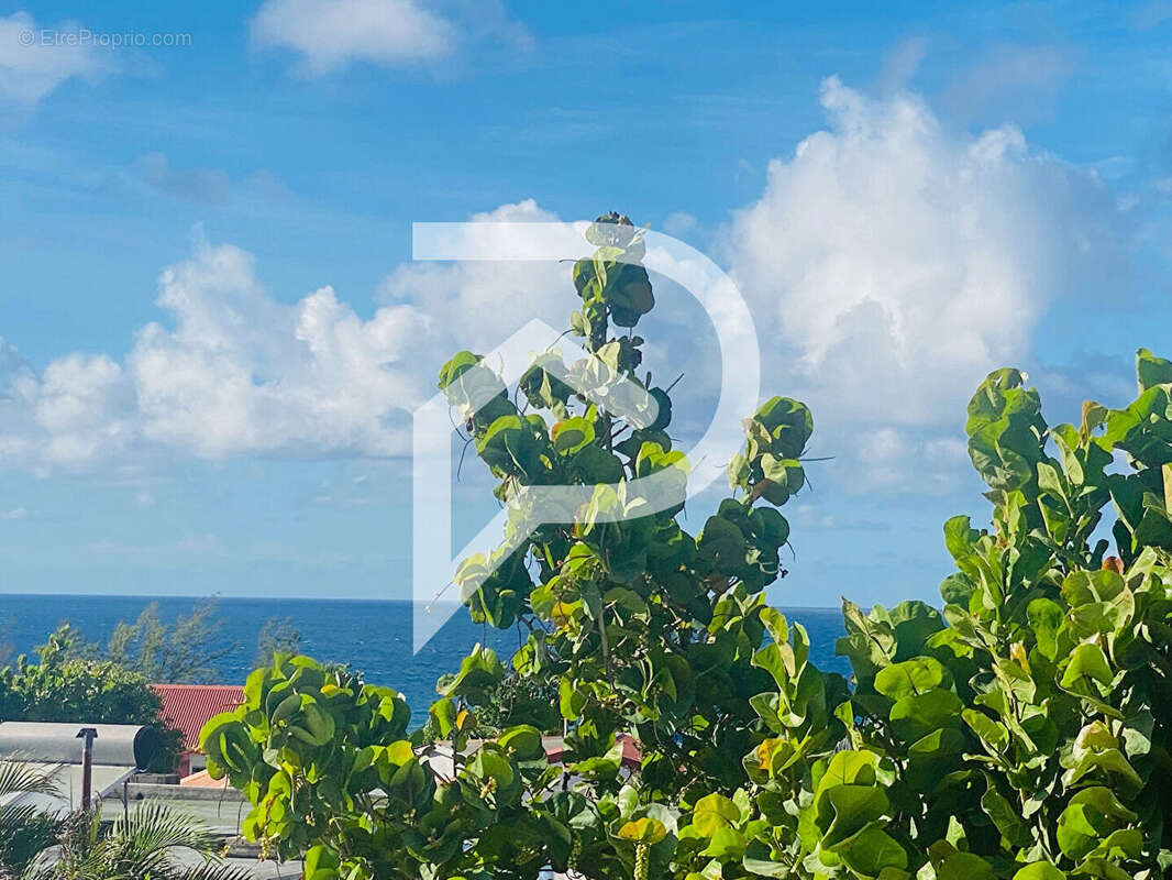 Appartement à SAINT-JOSEPH