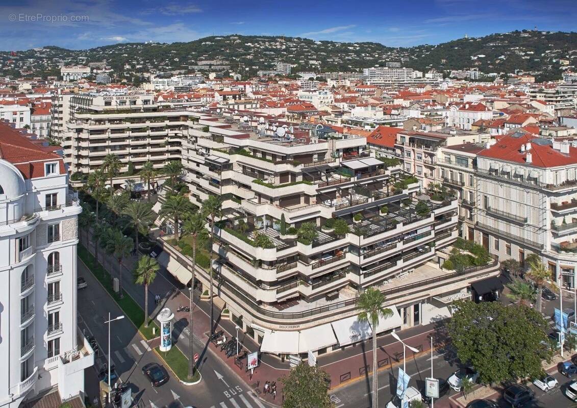 Commerce à CANNES