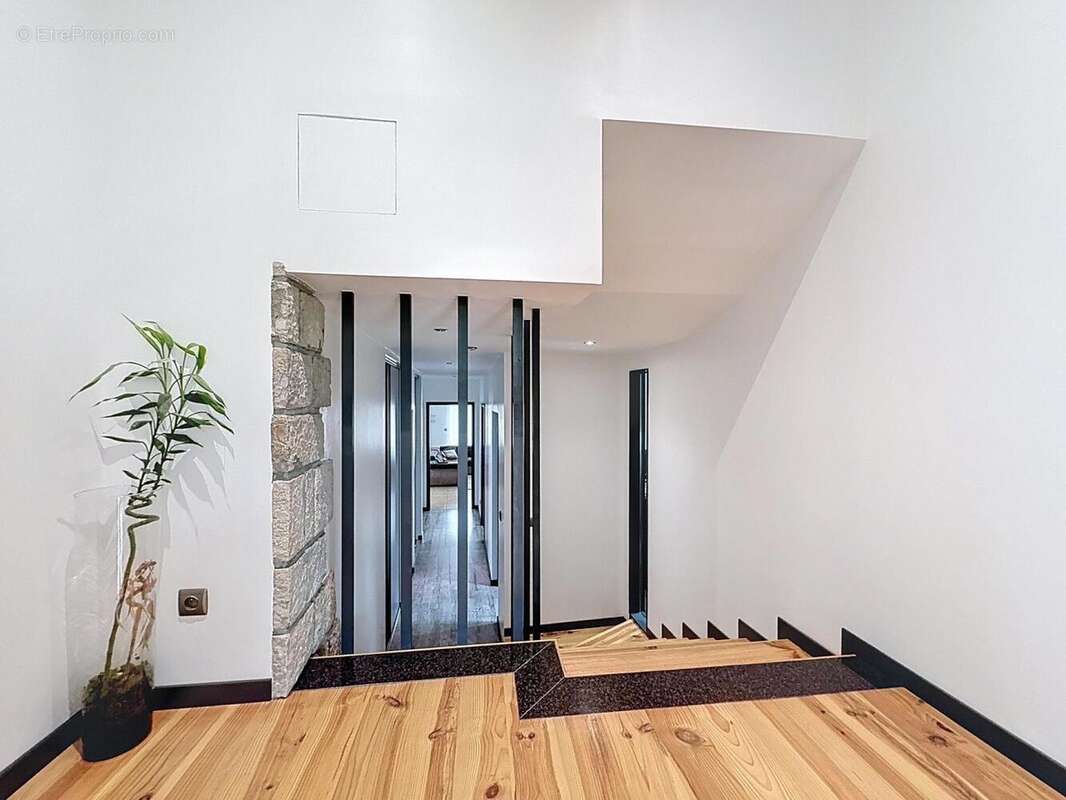 Photo 2 - Maison à LAVELANET