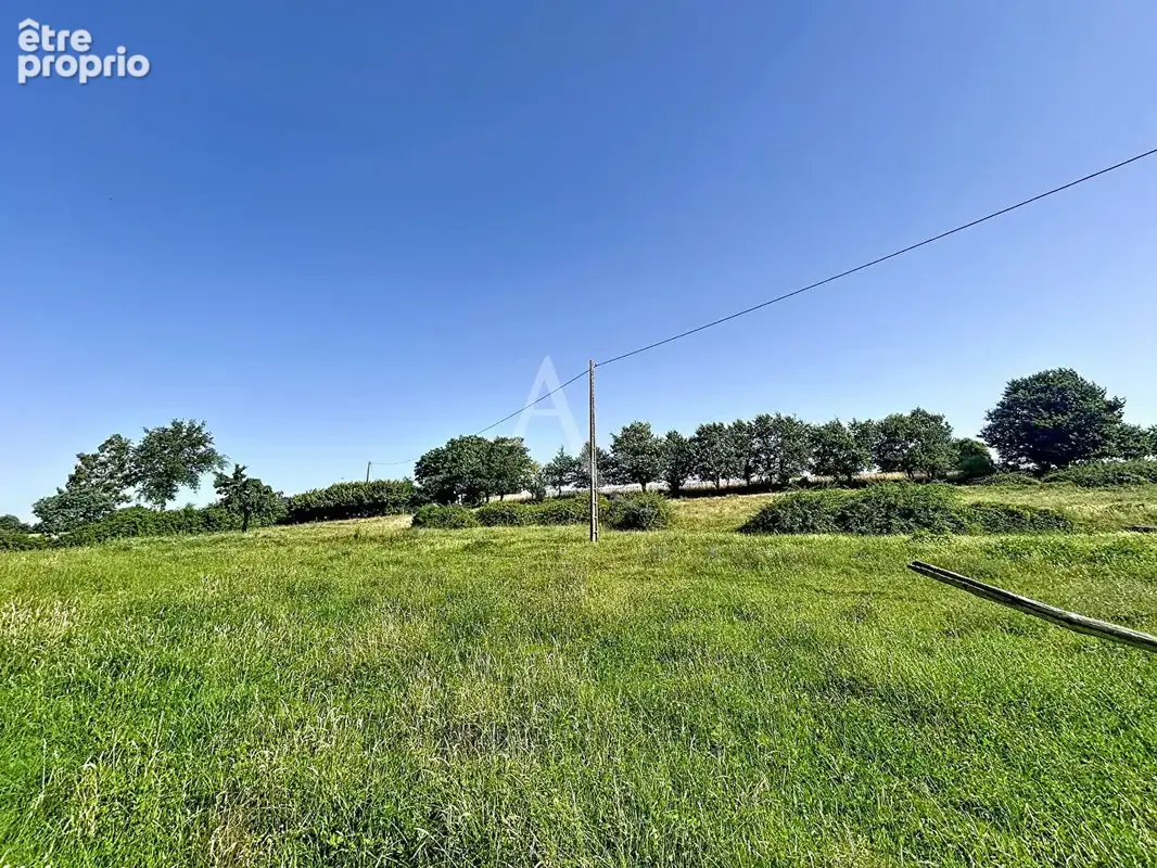 Terrain Loigne Sur Mayenne 23946 m2 - photo 12