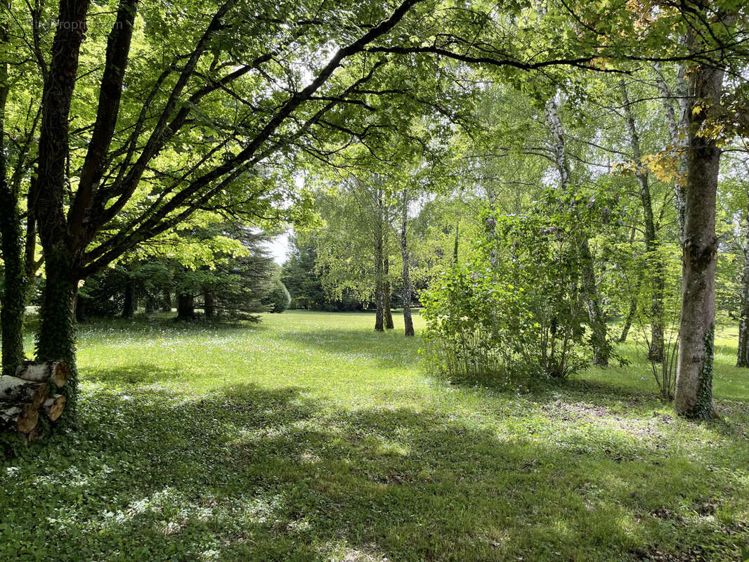 Maison à LA GUERCHE-SUR-L'AUBOIS