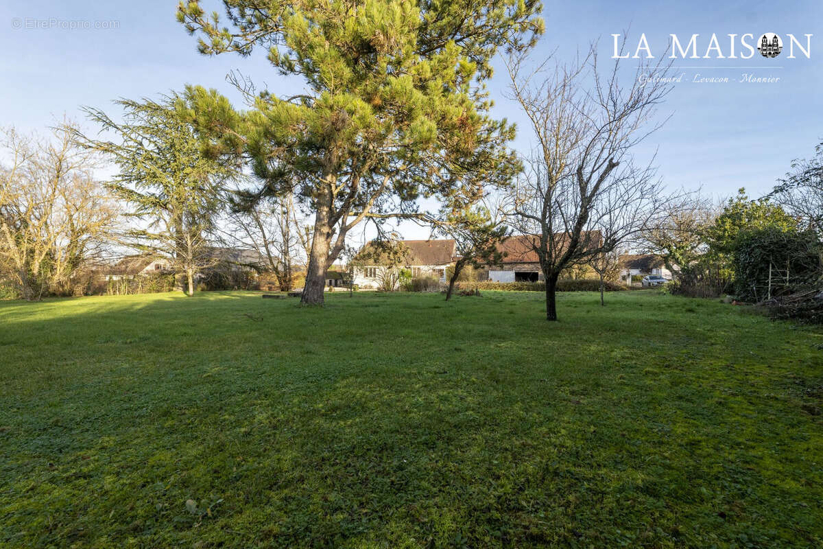 Maison à SAULON-LA-RUE