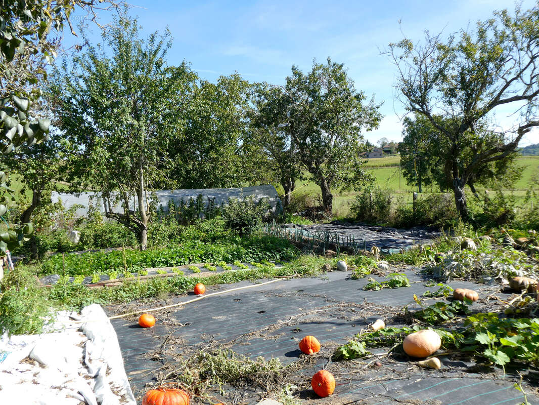 Maison à SAINT-CLEMENT-LES-PLACES
