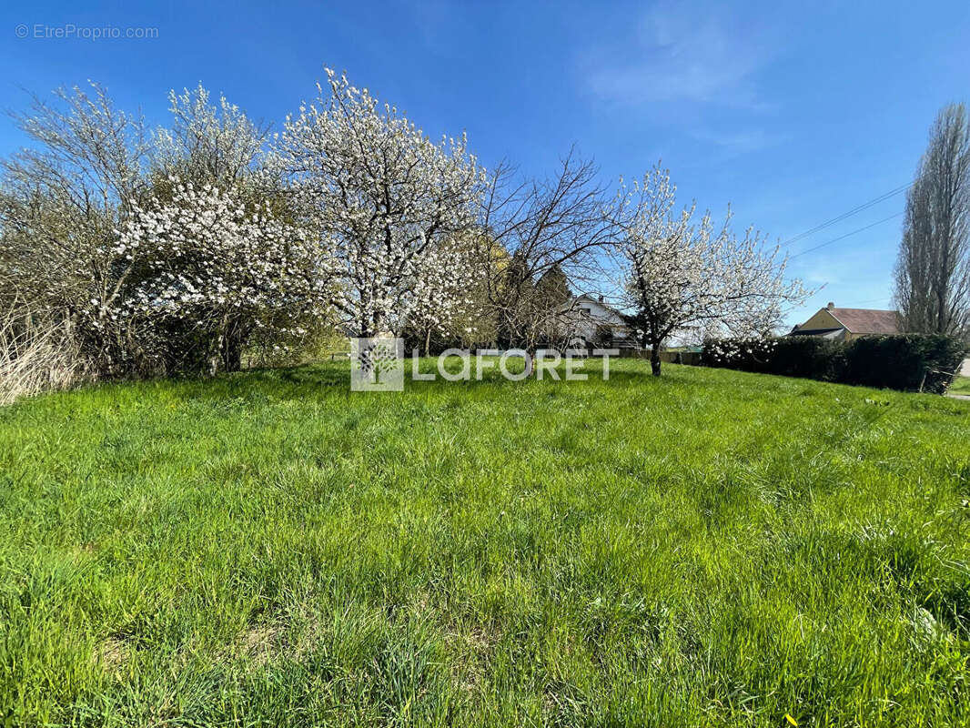 Terrain à VELESMES-ECHEVANNE