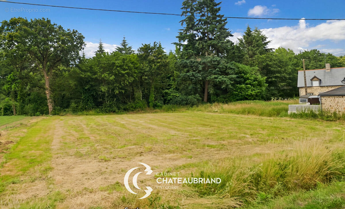 Terrain à CHAUVIGNE