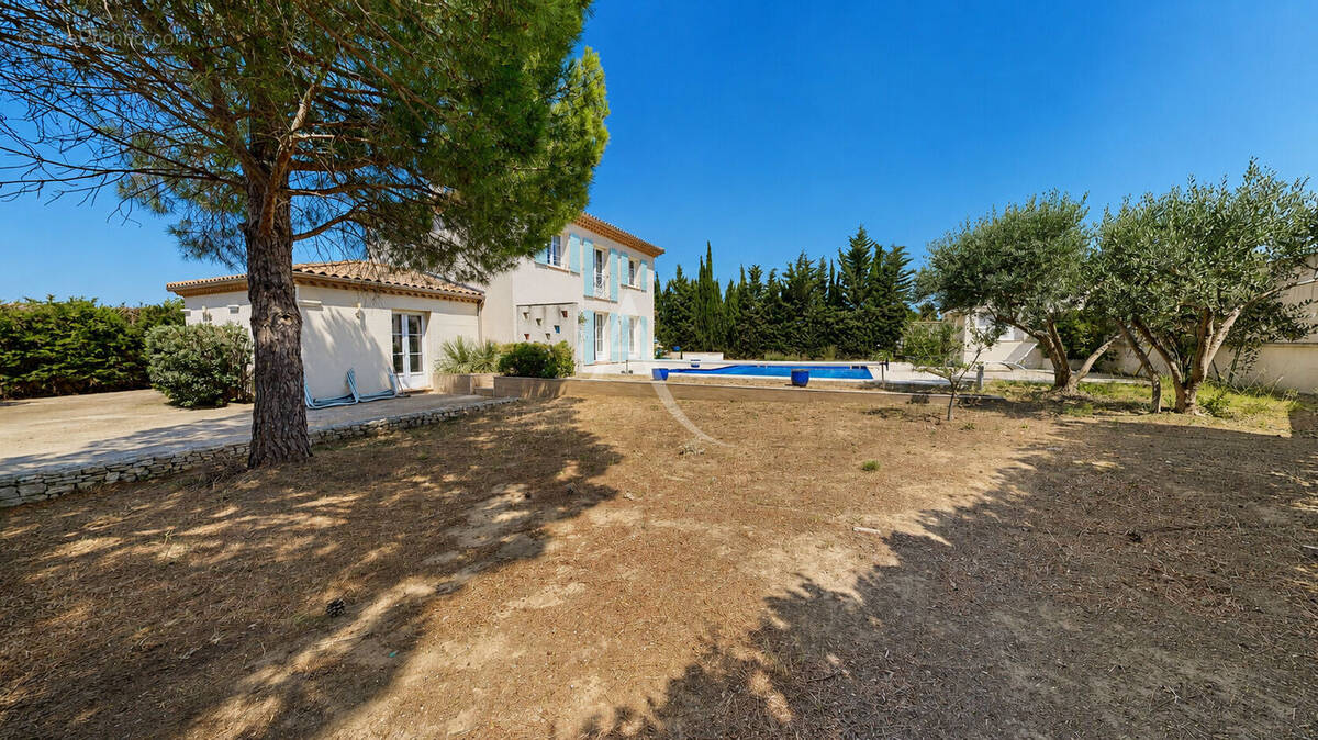 Maison à MOUSSAN