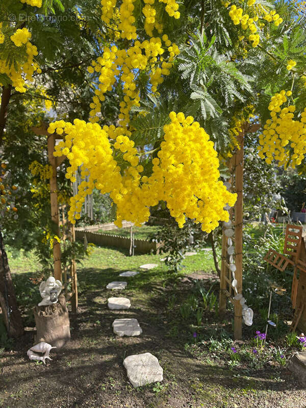 Maison à MAISONS-LAFFITTE