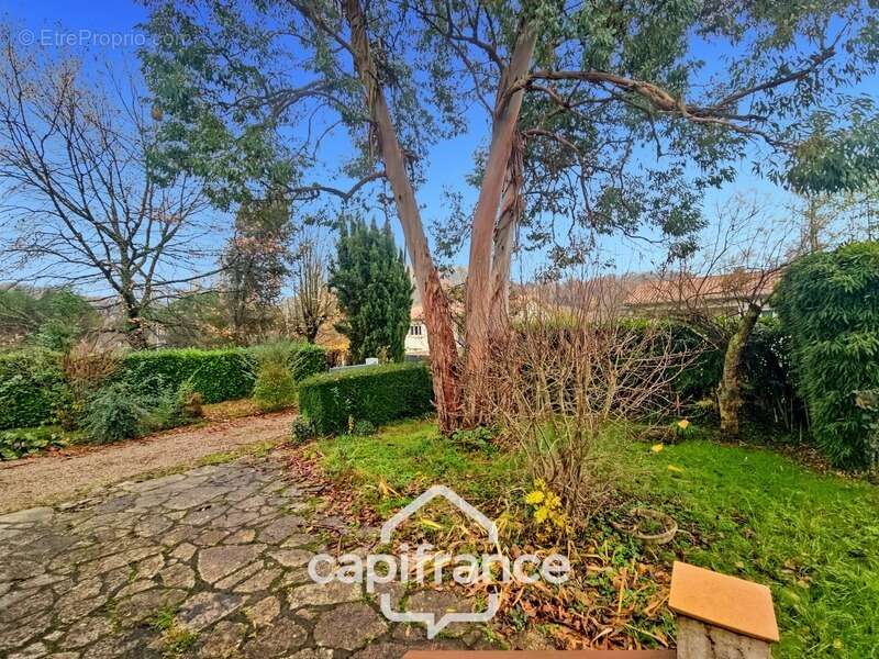 Maison à CASTELCULIER