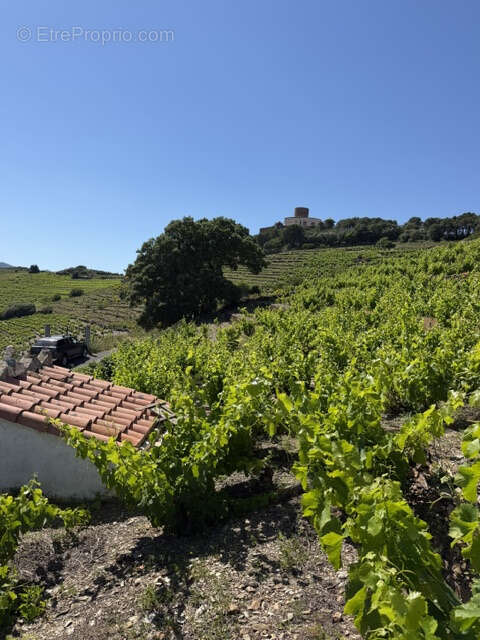 Terrain à COLLIOURE