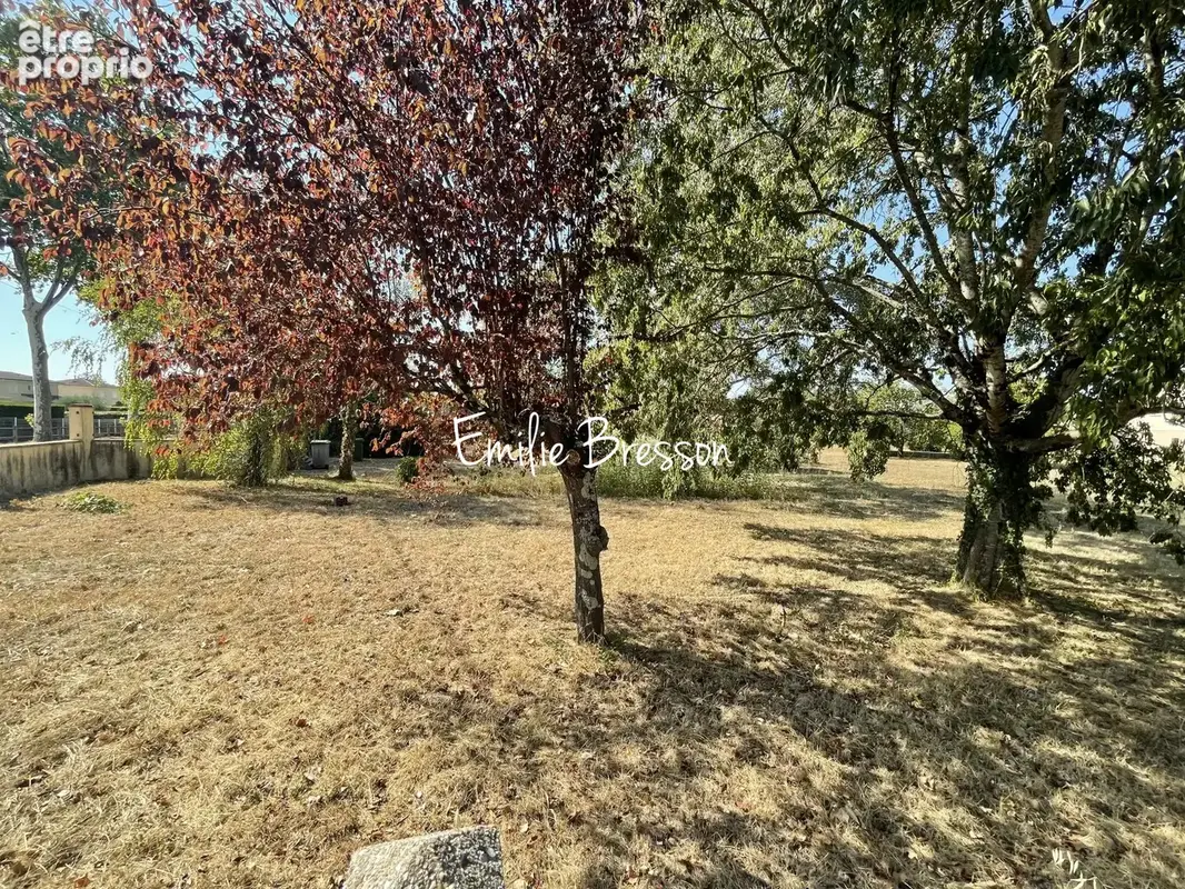 Photo Terrain à Brens au prix de 72 500€