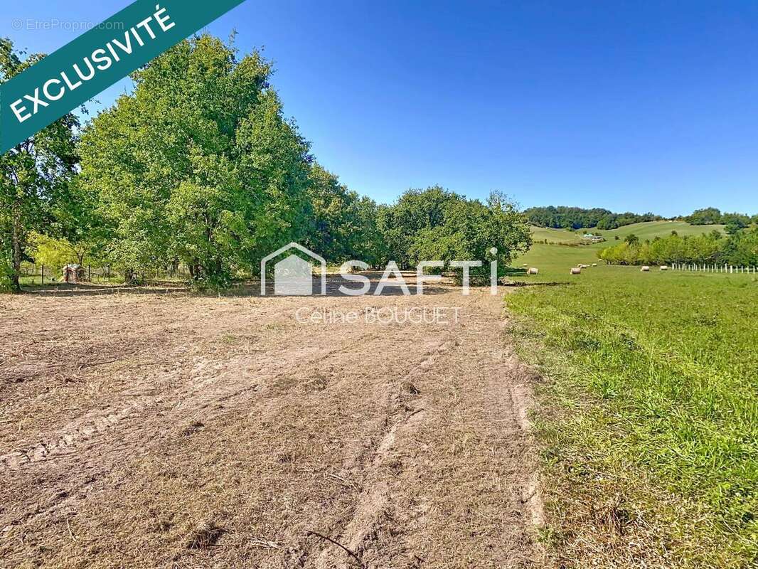 Photo 3 - Terrain à LAMOTHE-CAPDEVILLE