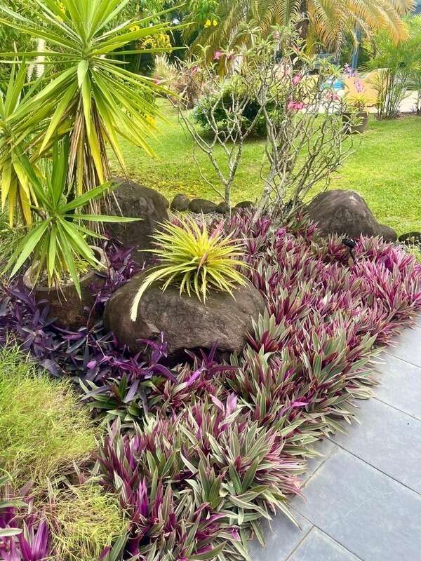 Maison à BAIE-MAHAULT