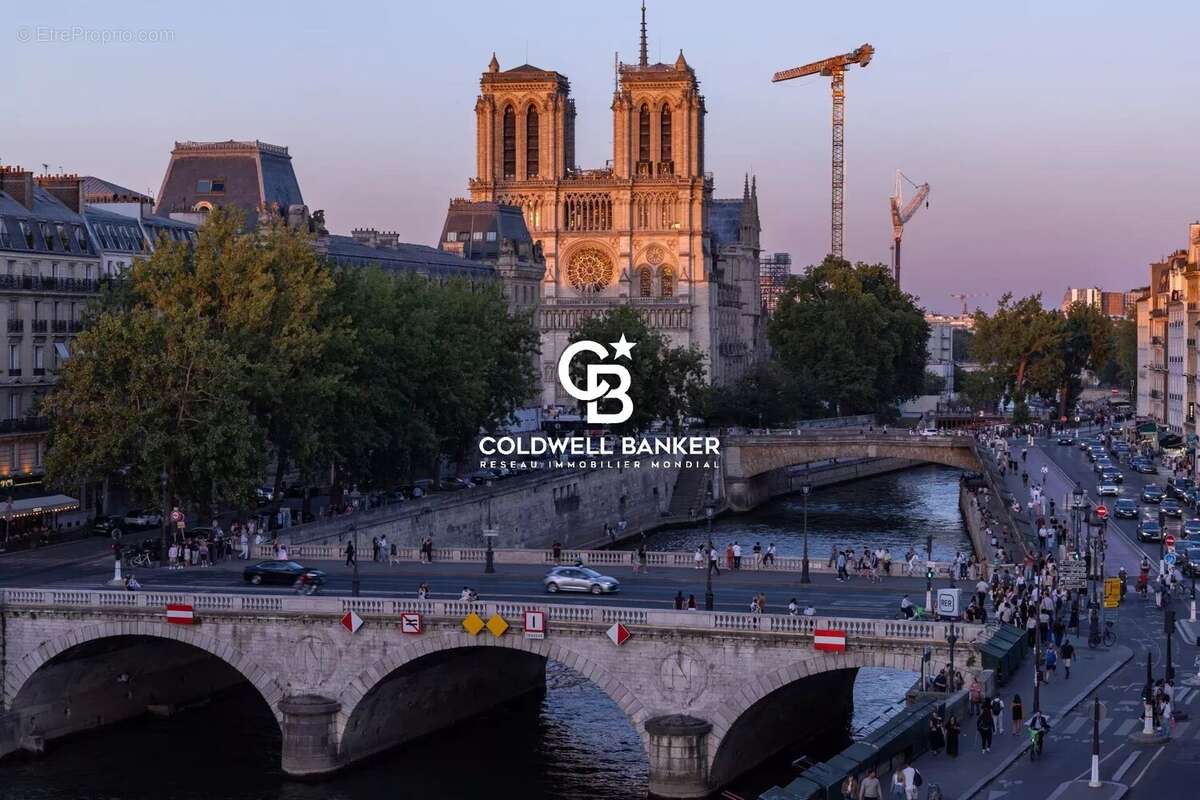 Appartement vue Seine et Notre-Dame - photo 19
