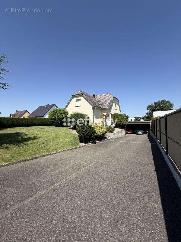 Maison à BARTENHEIM