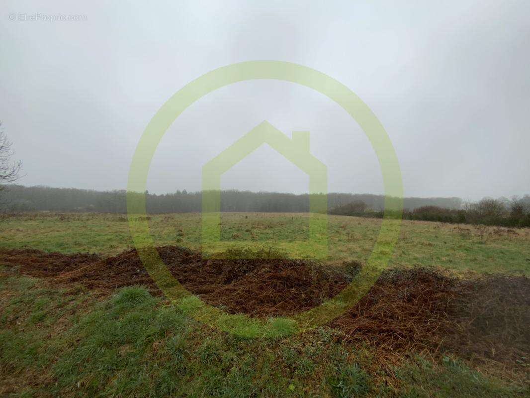 Terrain à LIGNEROLLES