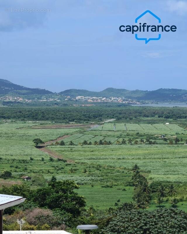 Maison à RIVIERE-SALEE