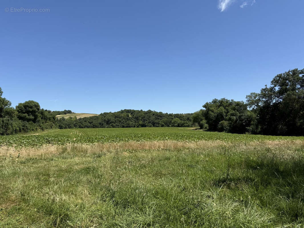 Maison de campagnes avec dépendances à rénover sur 4.8ha proche de Gondrin - photo 13