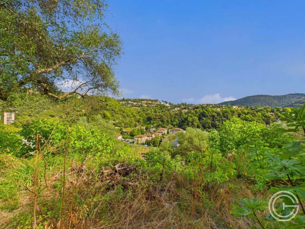 Terrain Constructible - 1.329m² - Chemin de Rimiez - ST ANDRE DE LA ROCHE - photo 7