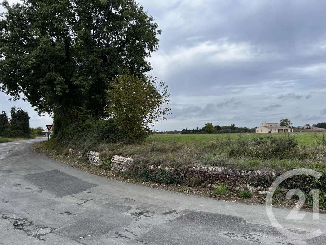 Terrain à SAINT-GENARD