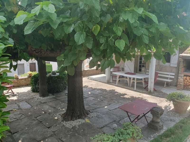 Photo 5 - Maison à COLOMBIERES-SUR-ORB