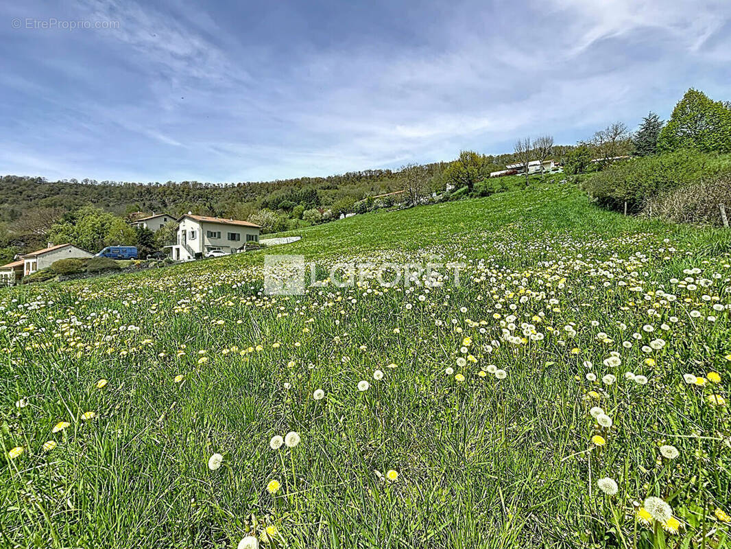 Terrain à POLIGNAC