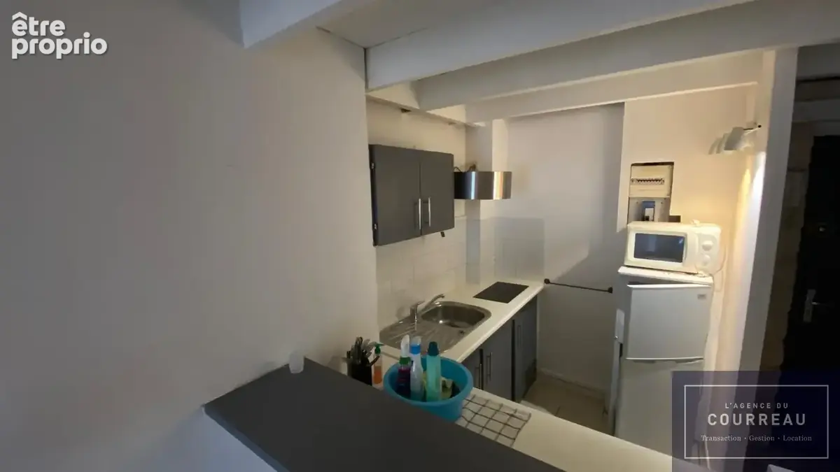 Magnifique duplex rénové de 30m2 - photo 14