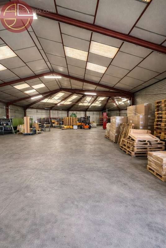 Commerce à PINS-JUSTARET