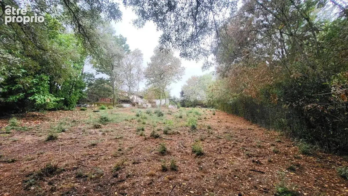 Terrain à PIN-BALMA