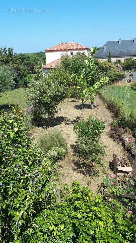 Photo 7 - Maison à LIMOGNE-EN-QUERCY