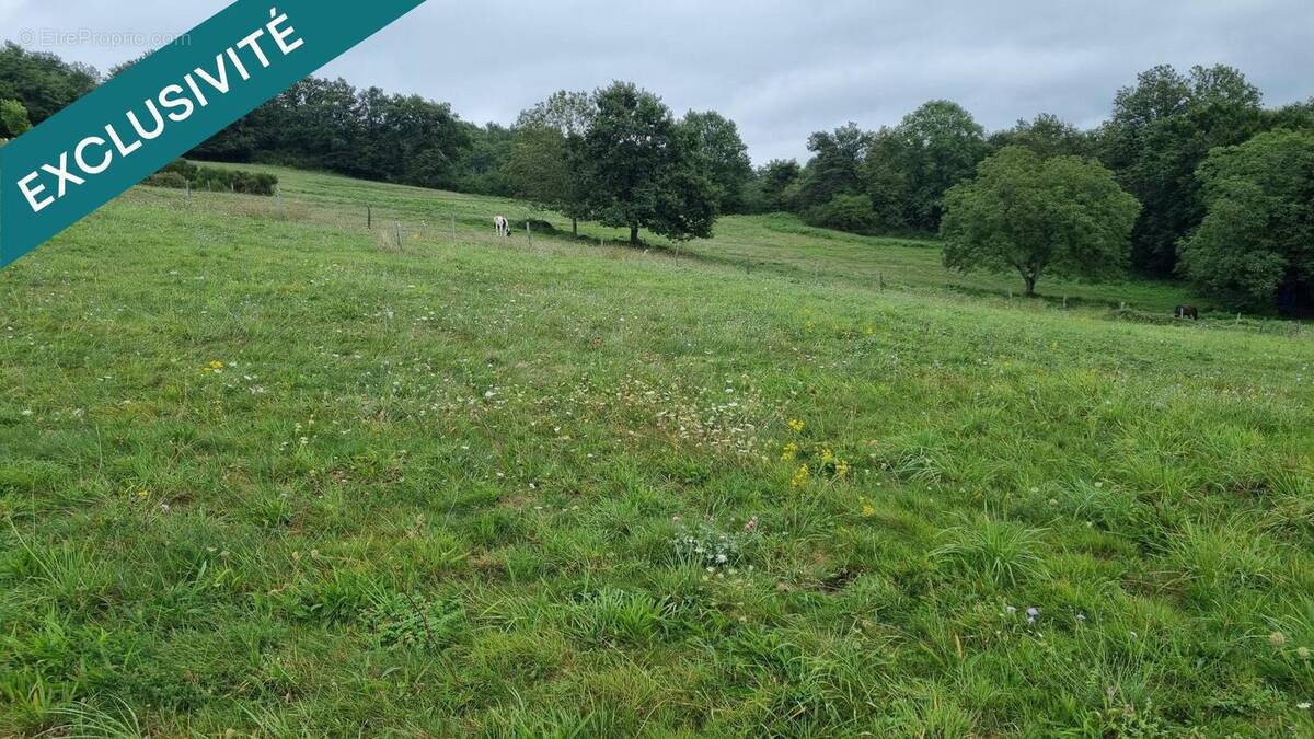 Photo 1 - Terrain à BUSSET