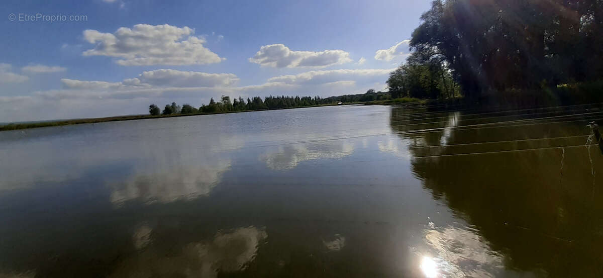 Terrain à VIGNEULLES-LES-HATTONCHATEL
