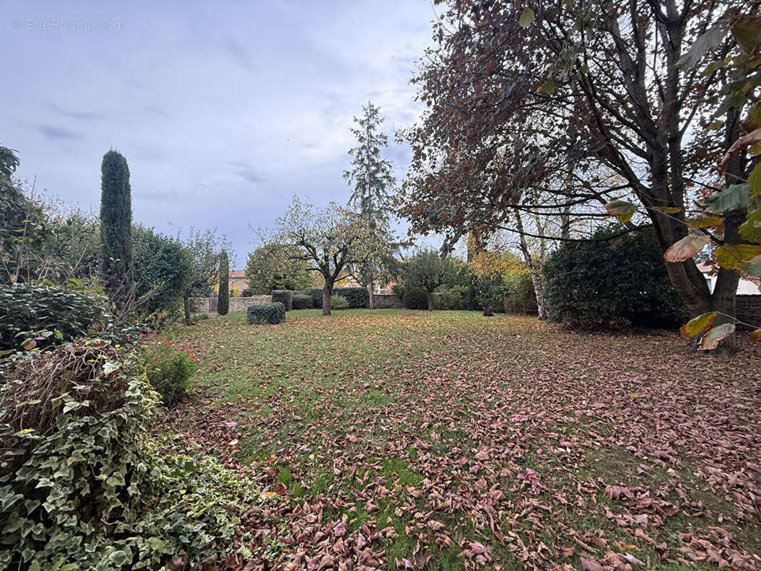 Maison à LOUZY