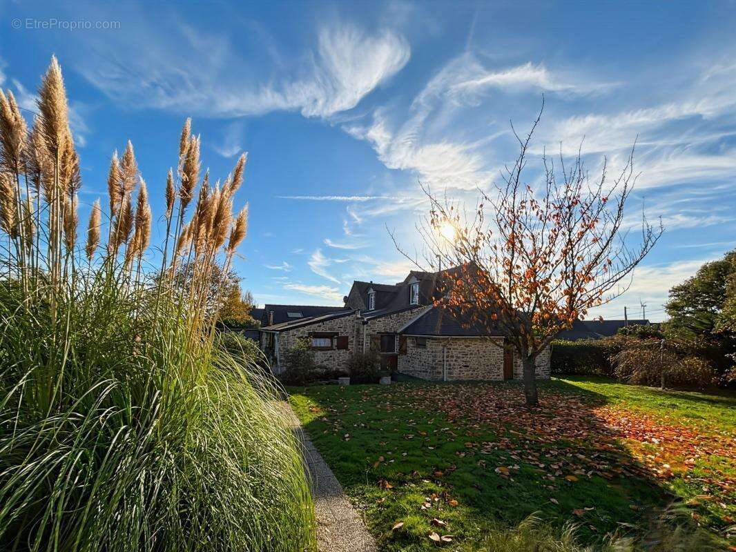 Maison à SAINT-AUBIN-DES-CHATEAUX