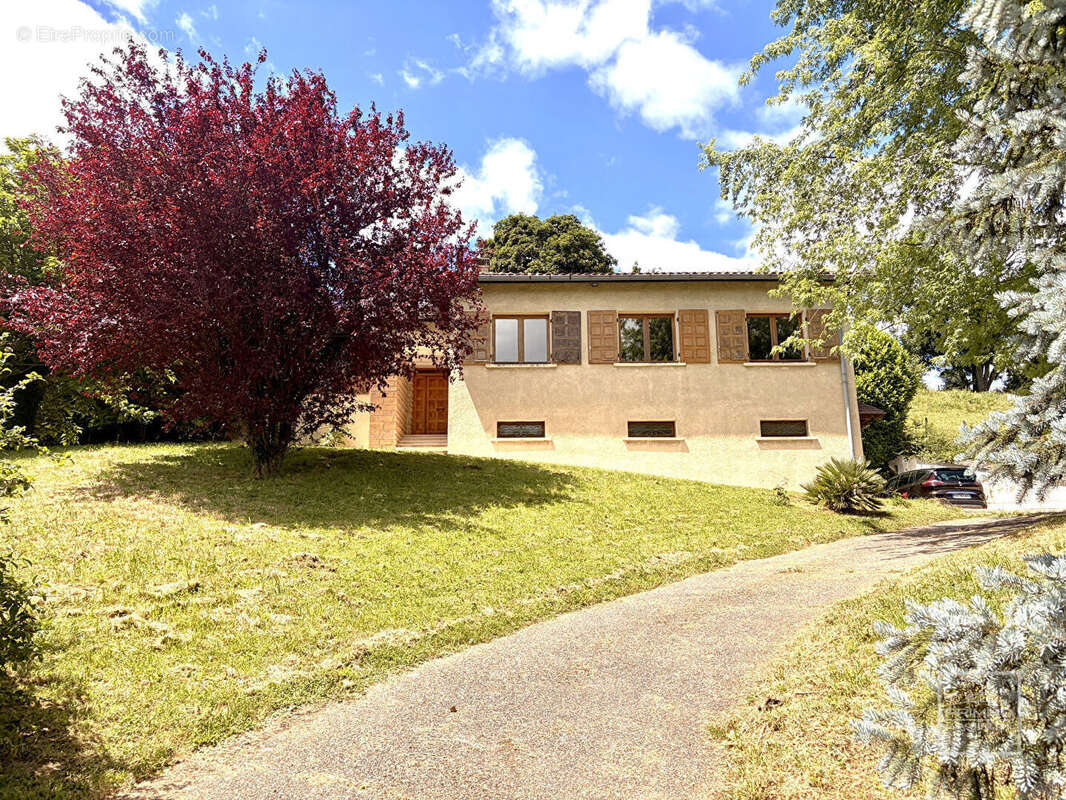 SAINT DIDIER AU MONT D'OR, Maison de 182 m² au calme avec beau potentiel - photo 14