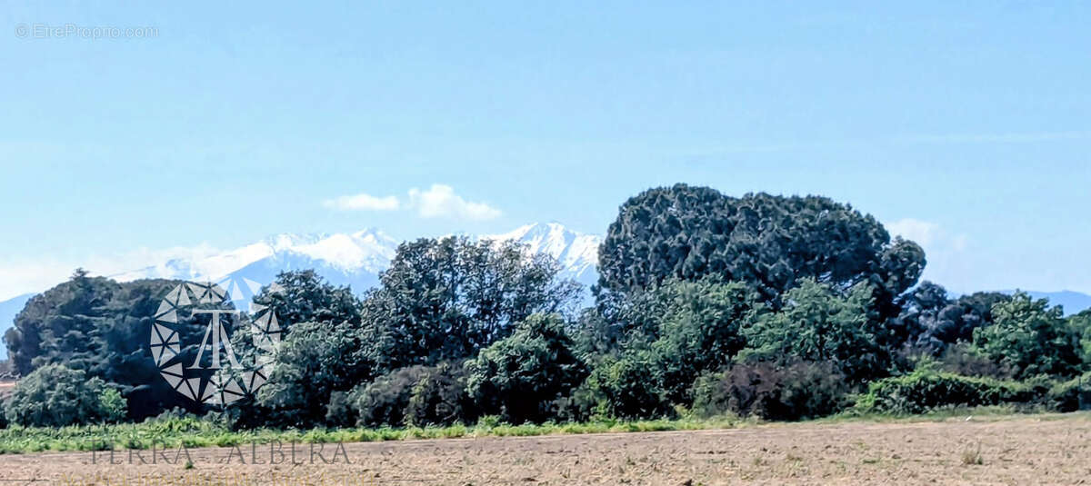 Terrain à PALAU-DEL-VIDRE