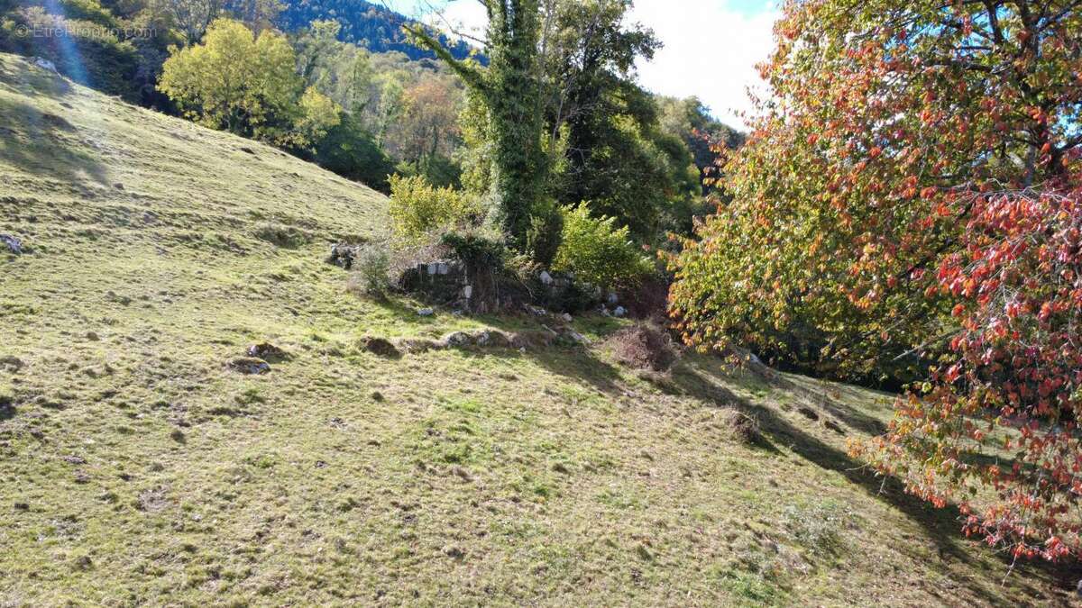Terrain à ARCIZANS-AVANT