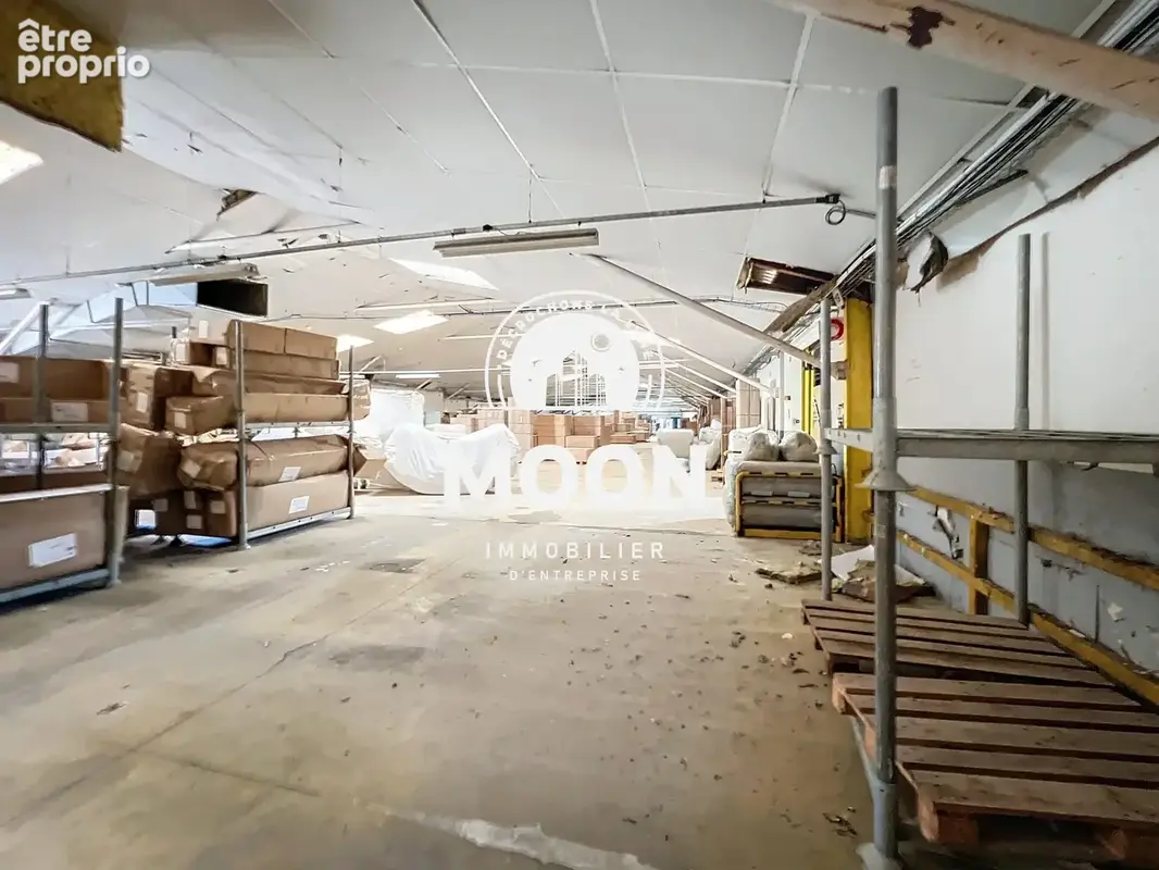 Commerce 10 000 m² à vendre à Castres (81100) - photo 3